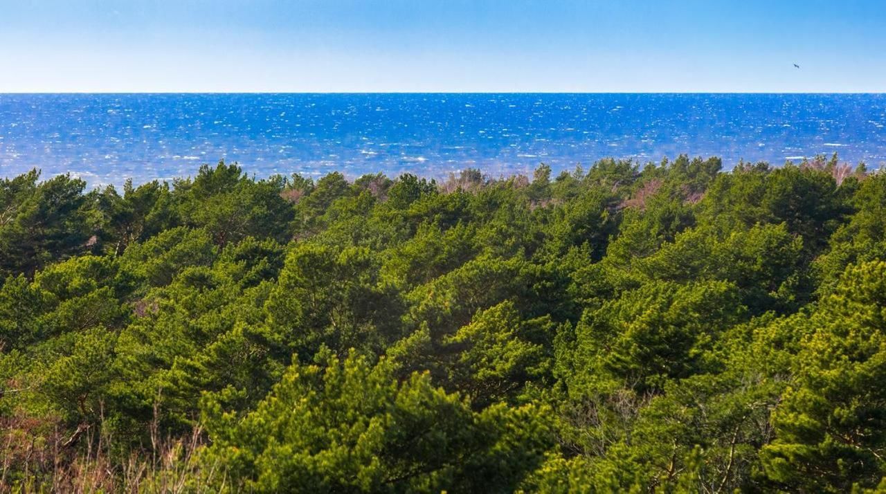 Апартаменты Palanga Sea View Паланга